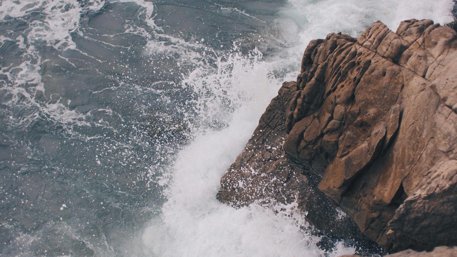 Education — image 3